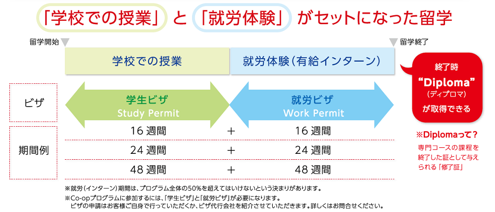 ISS留学ライフのCo-op留学